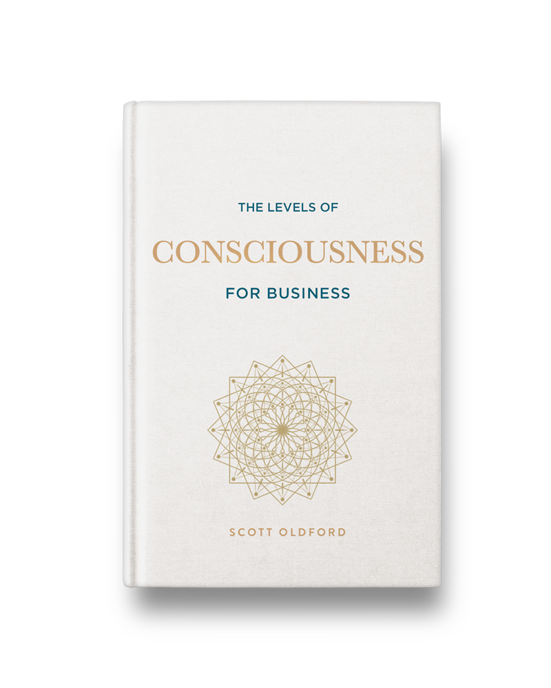 The Levels of Consciousness for Business book cover